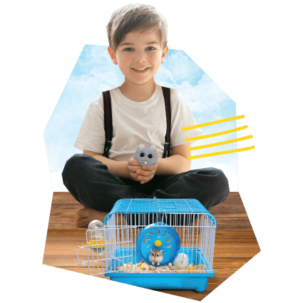 Pet-Active-Photo