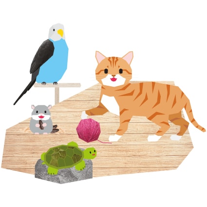 Pets ActivityBox