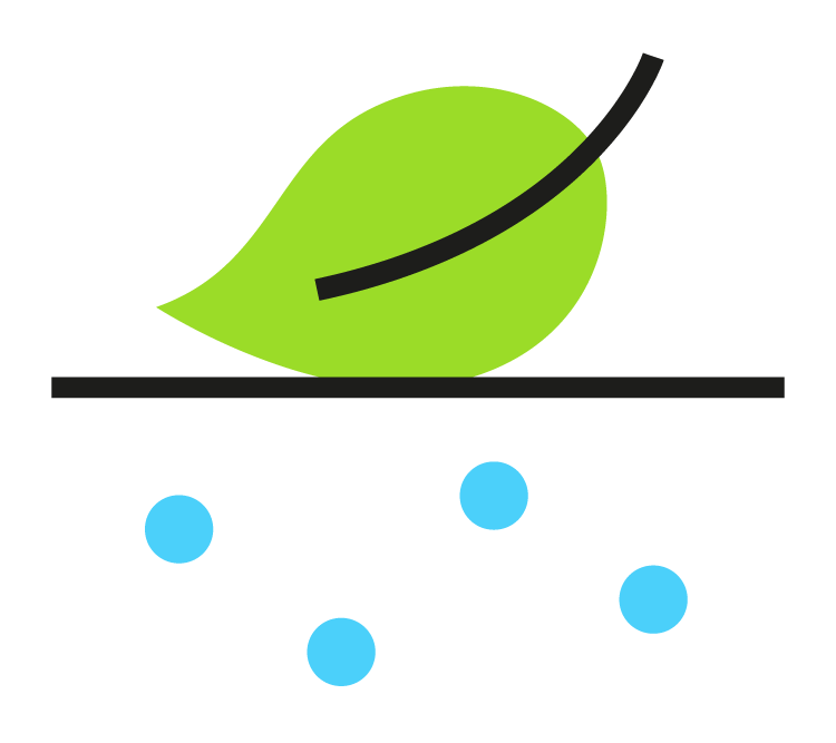 Products You Can Feel Good About Biodegradable